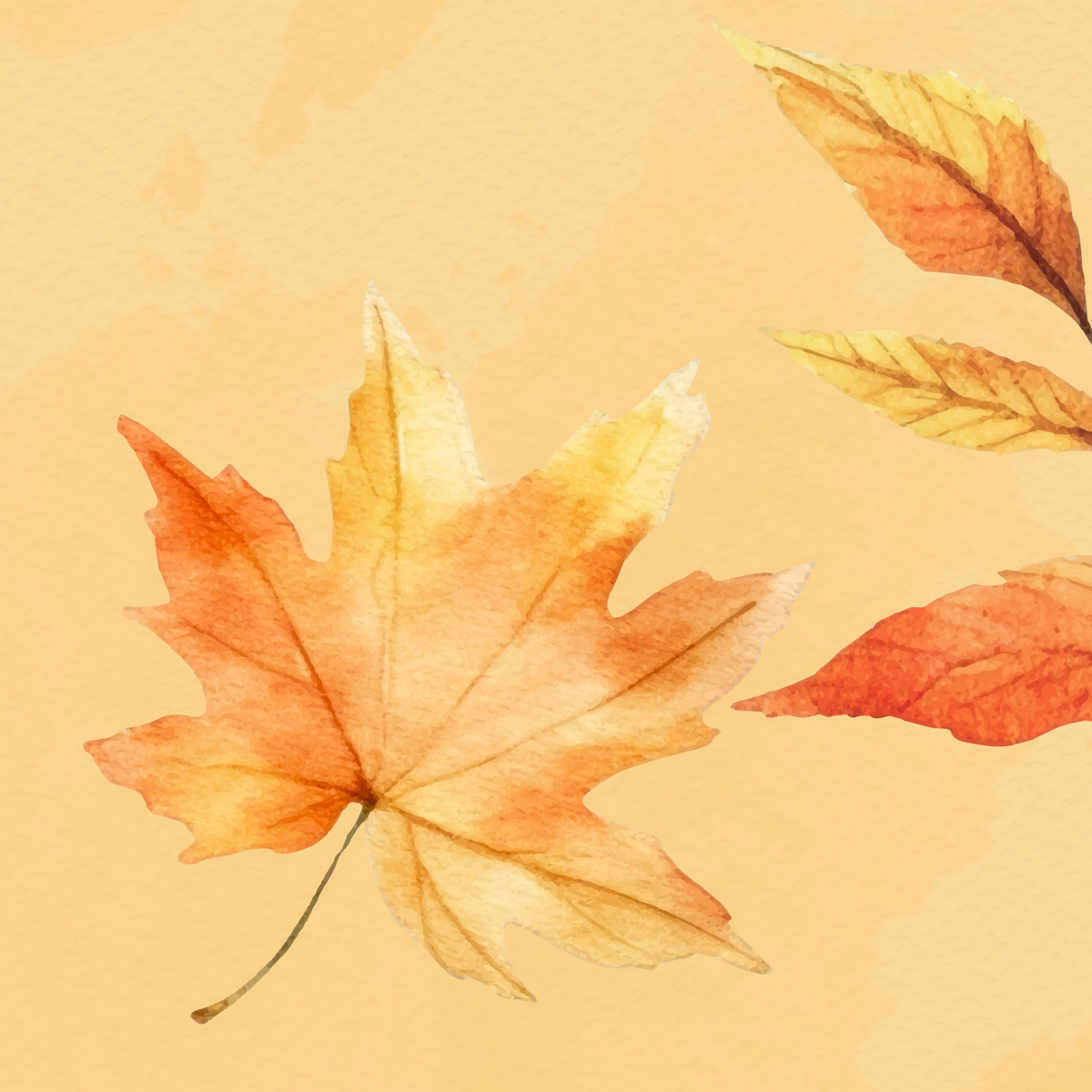 Thema Herfst voor de online rouwkaart: een getekend herfstblad in kopertinten